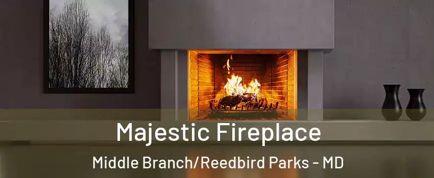 Majestic Fireplace Middle Branch/Reedbird Parks - MD