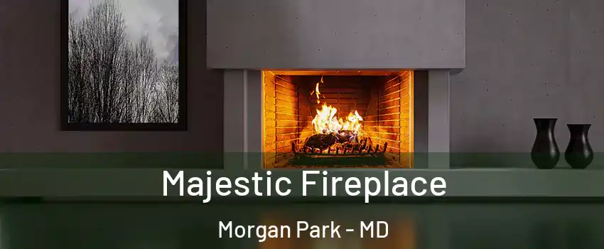 Majestic Fireplace Morgan Park - MD
