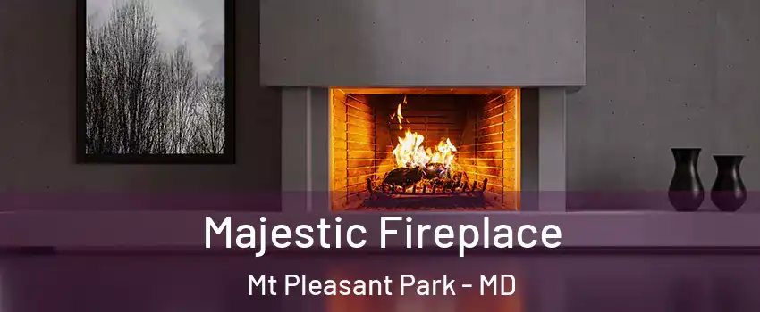 Majestic Fireplace Mt Pleasant Park - MD