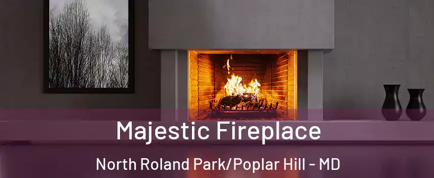 Majestic Fireplace North Roland Park/Poplar Hill - MD