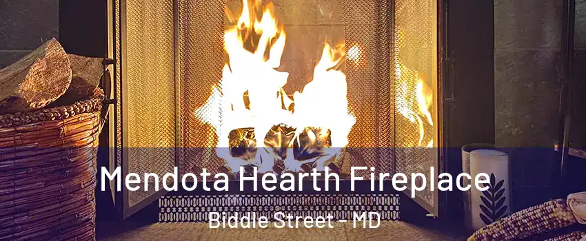 Mendota Hearth Fireplace Biddle Street - MD