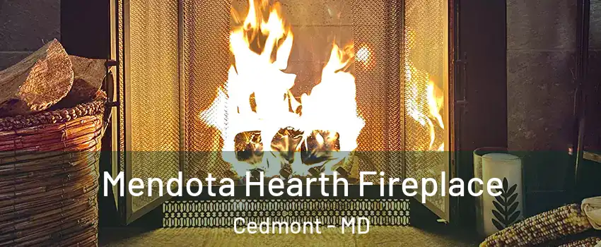 Mendota Hearth Fireplace Cedmont - MD