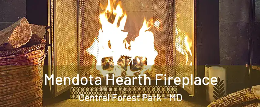 Mendota Hearth Fireplace Central Forest Park - MD