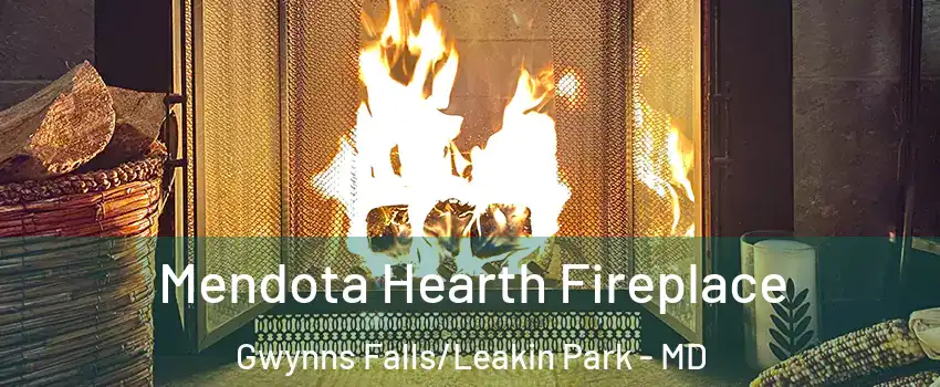 Mendota Hearth Fireplace Gwynns Falls/Leakin Park - MD