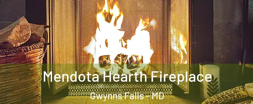 Mendota Hearth Fireplace Gwynns Falls - MD