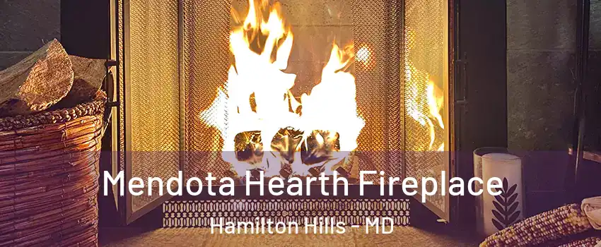 Mendota Hearth Fireplace Hamilton Hills - MD