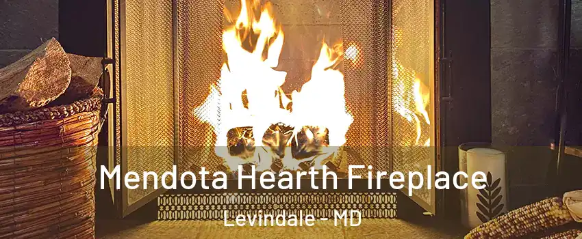 Mendota Hearth Fireplace Levindale - MD