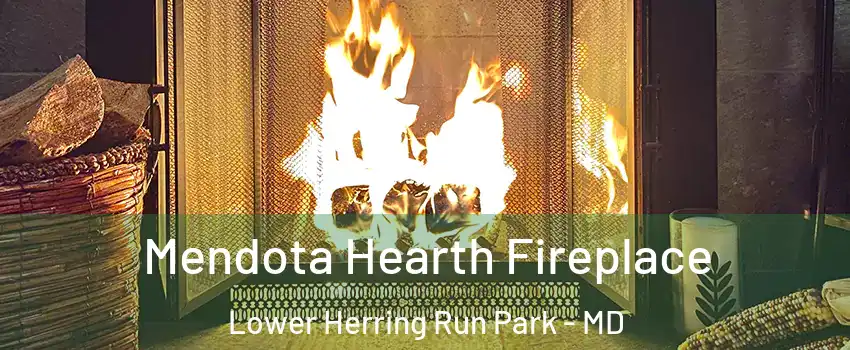 Mendota Hearth Fireplace Lower Herring Run Park - MD