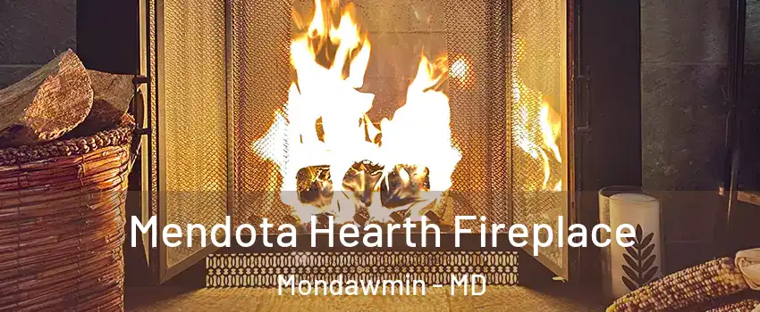 Mendota Hearth Fireplace Mondawmin - MD