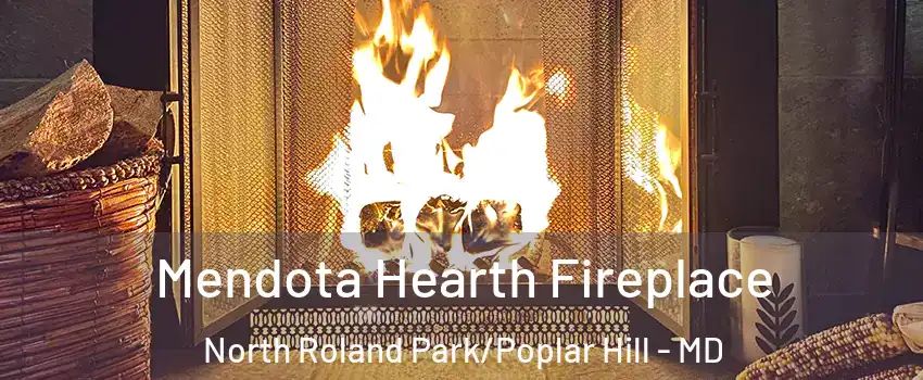 Mendota Hearth Fireplace North Roland Park/Poplar Hill - MD