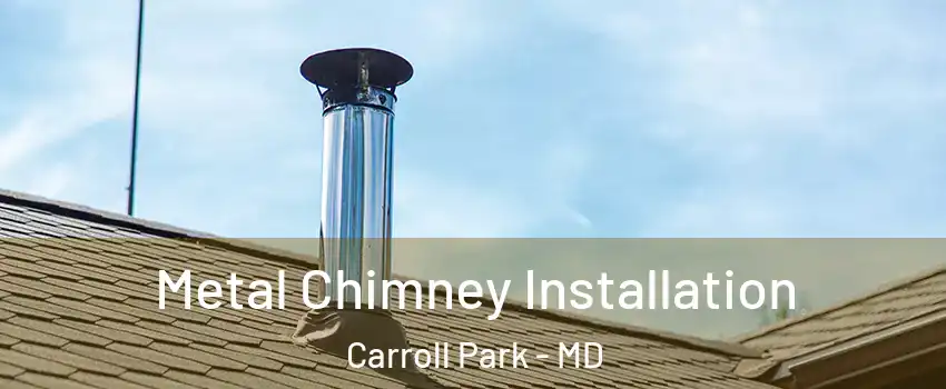 Metal Chimney Installation Carroll Park - MD
