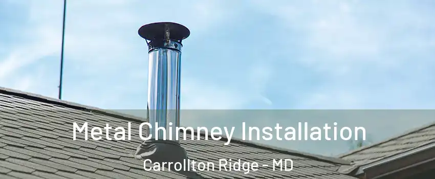 Metal Chimney Installation Carrollton Ridge - MD