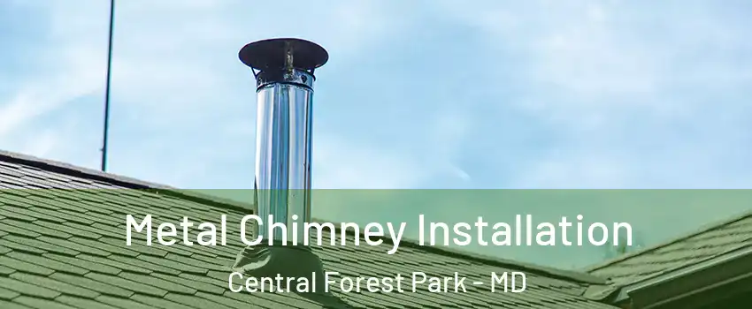 Metal Chimney Installation Central Forest Park - MD