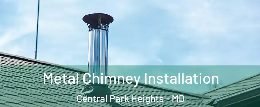 Metal Chimney Installation Central Park Heights - MD