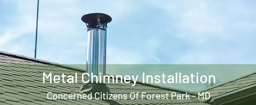 Metal Chimney Installation Concerned Citizens Of Forest Park - MD