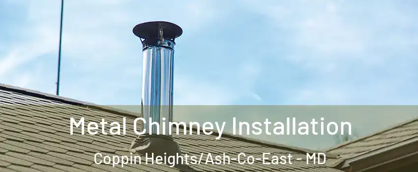 Metal Chimney Installation Coppin Heights/Ash-Co-East - MD
