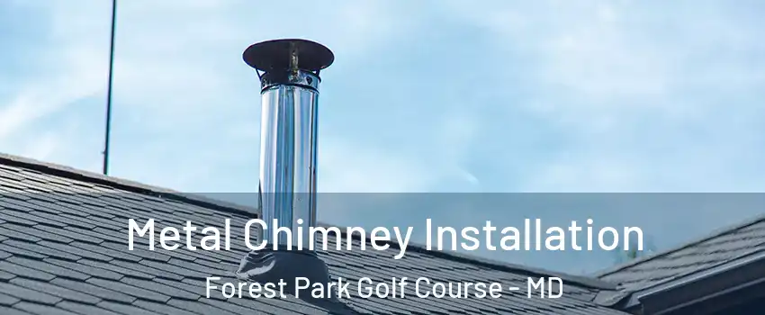 Metal Chimney Installation Forest Park Golf Course - MD