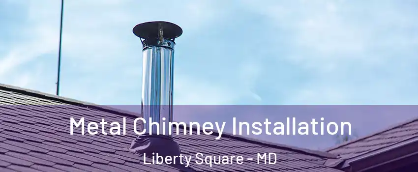 Metal Chimney Installation Liberty Square - MD