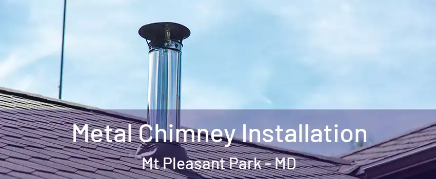 Metal Chimney Installation Mt Pleasant Park - MD
