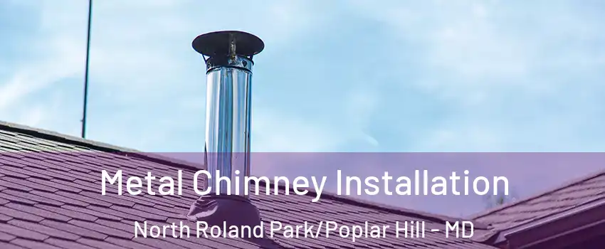 Metal Chimney Installation North Roland Park/Poplar Hill - MD
