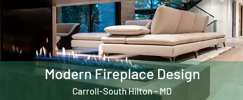 Modern Fireplace Design Carroll-South Hilton - MD