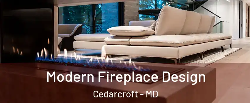 Modern Fireplace Design Cedarcroft - MD