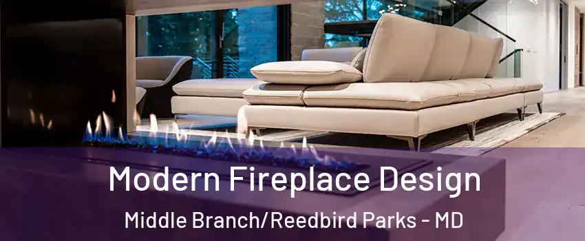 Modern Fireplace Design Middle Branch/Reedbird Parks - MD