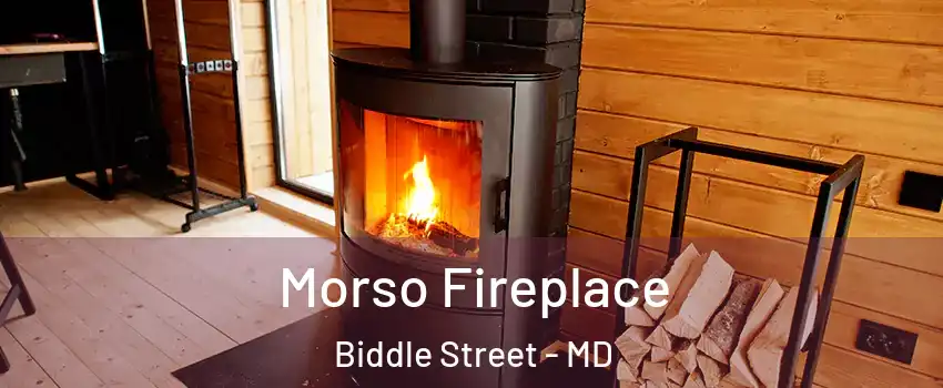 Morso Fireplace Biddle Street - MD