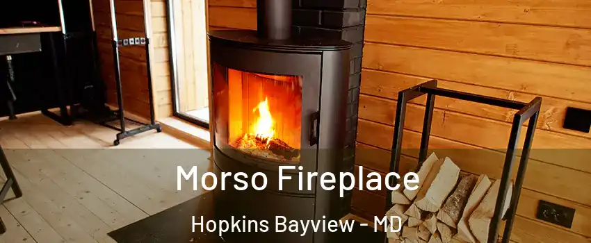 Morso Fireplace Hopkins Bayview - MD