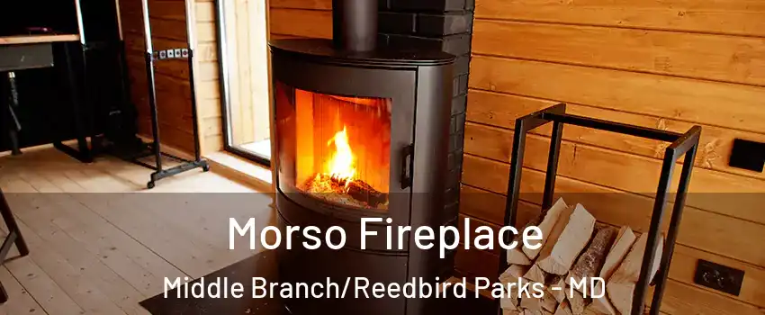 Morso Fireplace Middle Branch/Reedbird Parks - MD
