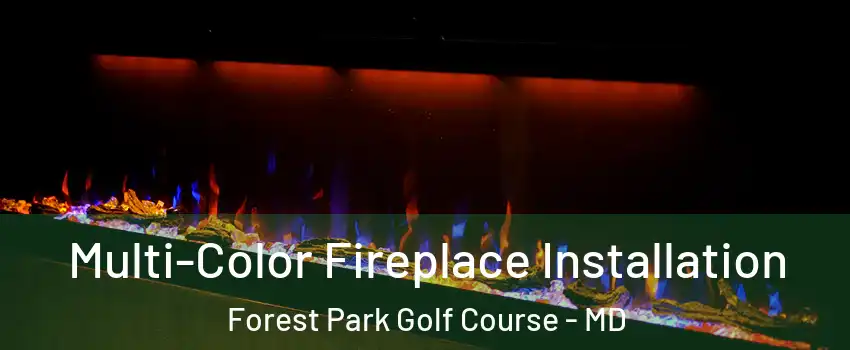 Multi-Color Fireplace Installation Forest Park Golf Course - MD
