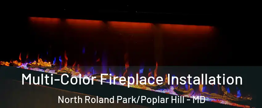 Multi-Color Fireplace Installation North Roland Park/Poplar Hill - MD