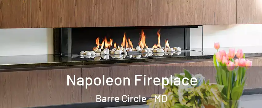 Napoleon Fireplace Barre Circle - MD