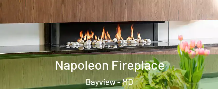 Napoleon Fireplace Bayview - MD