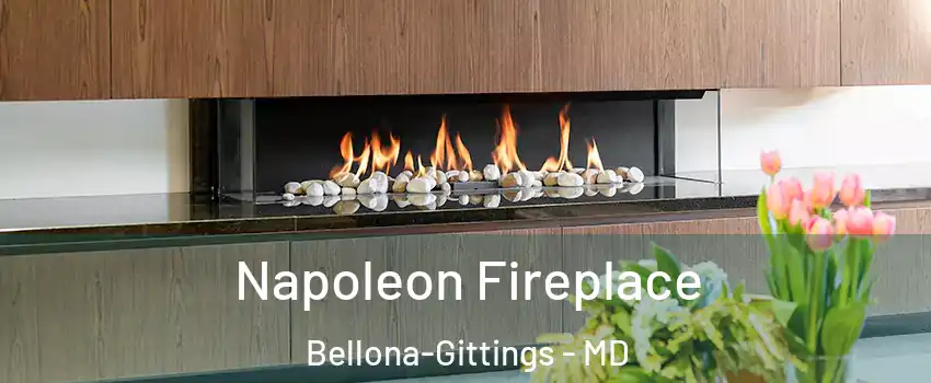 Napoleon Fireplace Bellona-Gittings - MD