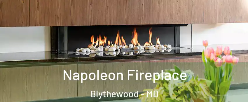 Napoleon Fireplace Blythewood - MD