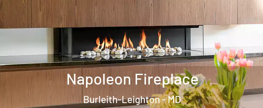 Napoleon Fireplace Burleith-Leighton - MD