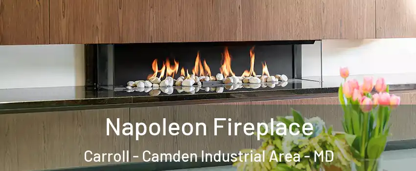 Napoleon Fireplace Carroll - Camden Industrial Area - MD