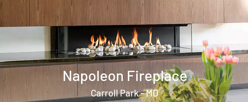 Napoleon Fireplace Carroll Park - MD