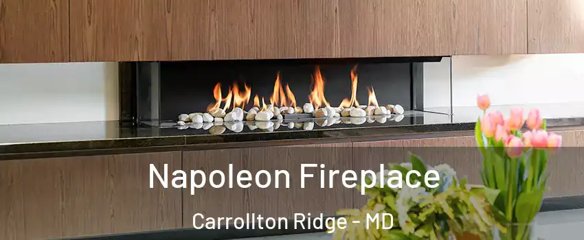Napoleon Fireplace Carrollton Ridge - MD