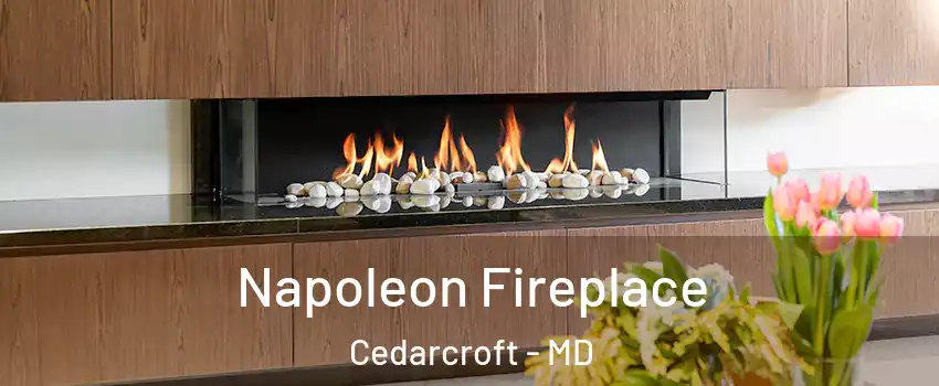 Napoleon Fireplace Cedarcroft - MD