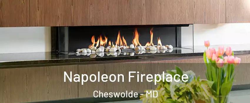 Napoleon Fireplace Cheswolde - MD