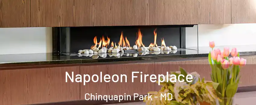 Napoleon Fireplace Chinquapin Park - MD