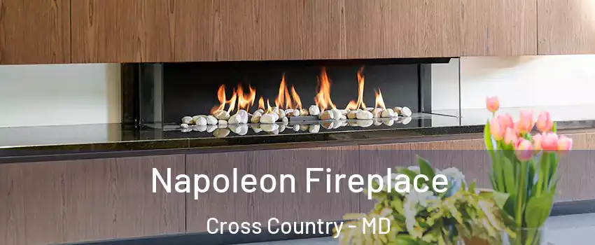 Napoleon Fireplace Cross Country - MD