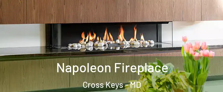 Napoleon Fireplace Cross Keys - MD
