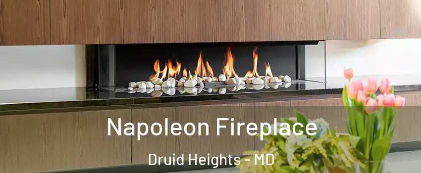 Napoleon Fireplace Druid Heights - MD