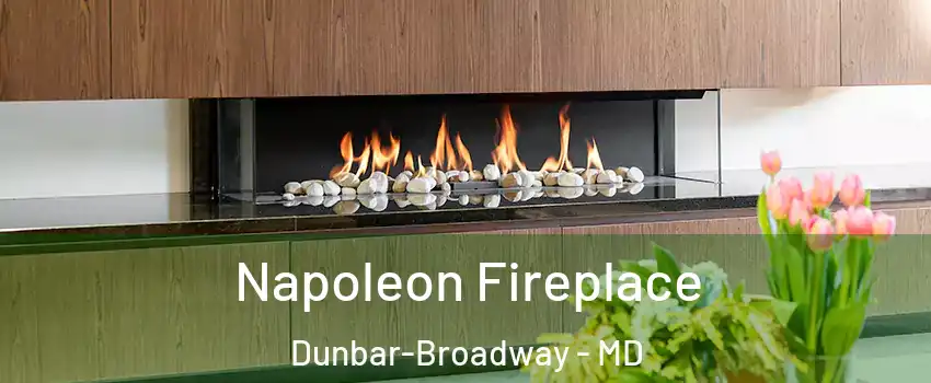 Napoleon Fireplace Dunbar-Broadway - MD