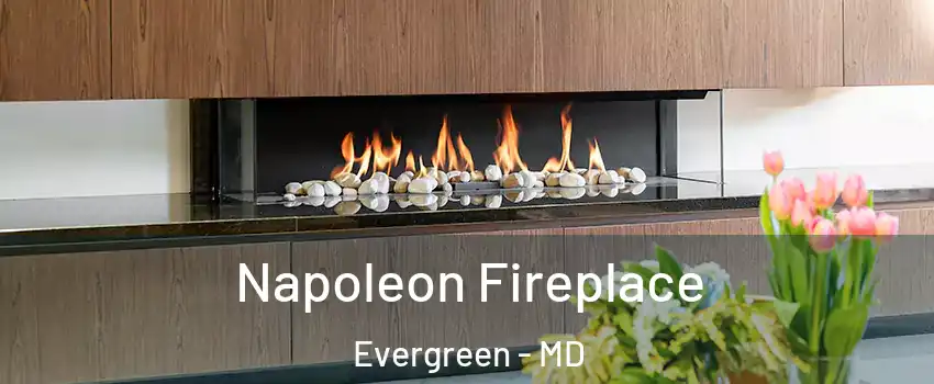 Napoleon Fireplace Evergreen - MD