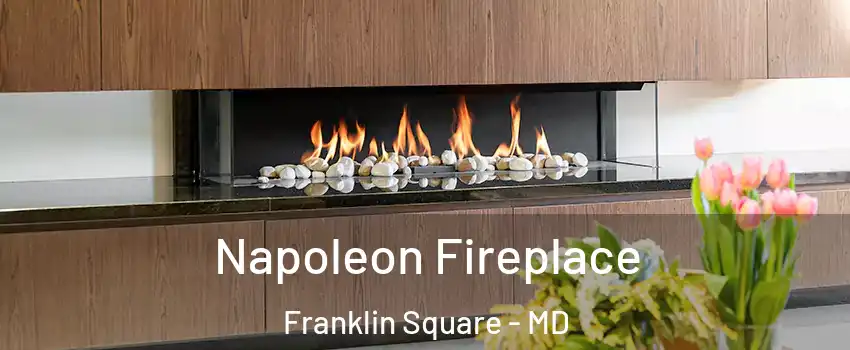 Napoleon Fireplace Franklin Square - MD