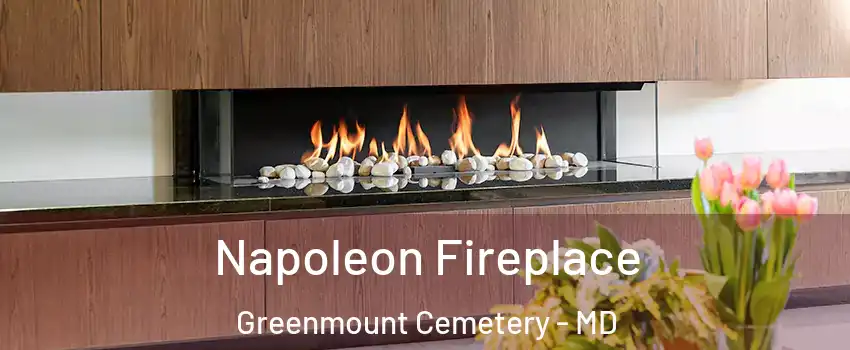 Napoleon Fireplace Greenmount Cemetery - MD